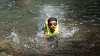 camp29 (753)_thumb.png